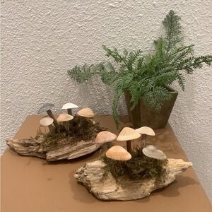 Driftwood Art, Driftwood & Seashell Mushrooms , Mushroom Art